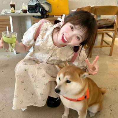 相思蛊 封面